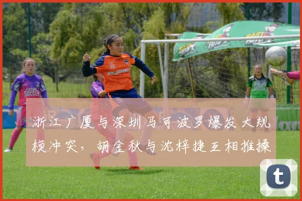 浙江广厦与深圳马可波罗爆发大规模冲突，胡金秋与沈梓捷互相推搡双双被驱逐